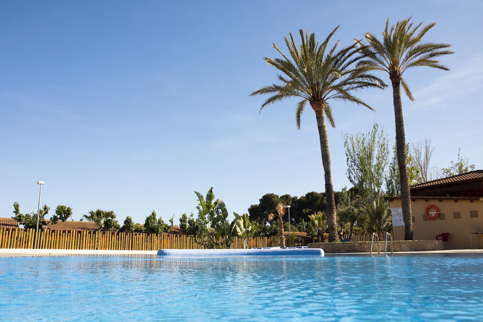 Una piscina con agua azul cristalina, rodeada de palmeras y una valla de madera.