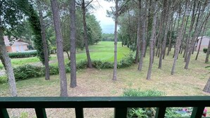A view from a balcony with a green railing, overlooking a well-maintained lawn and a row of tall trees.