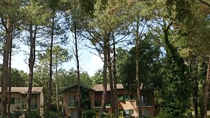 A building with multiple rooms, surrounded by tall trees and a grassy area.