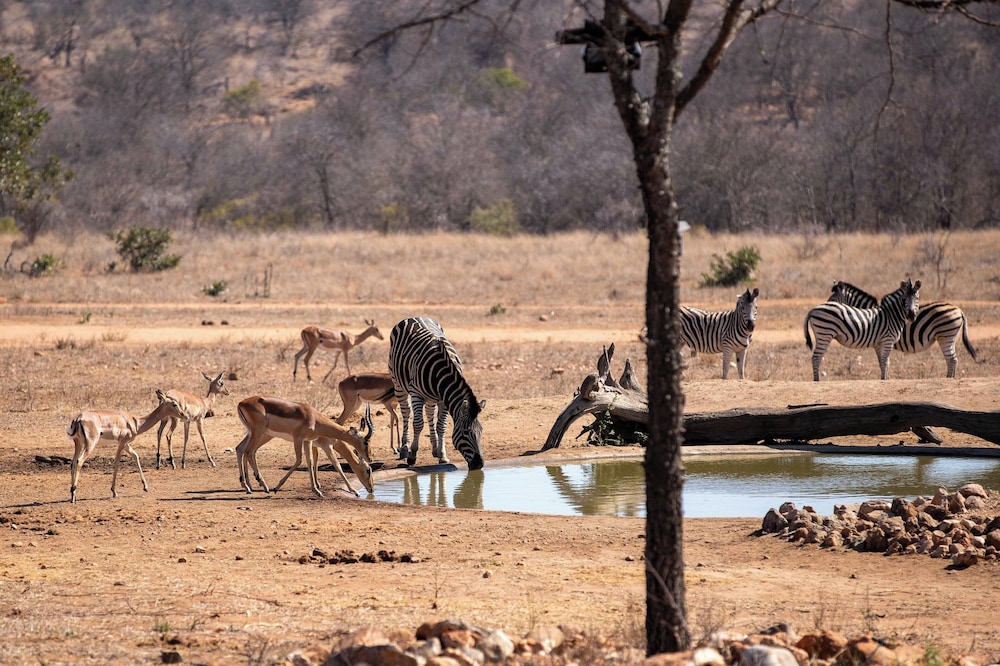 Ximuwu Lodge by null
