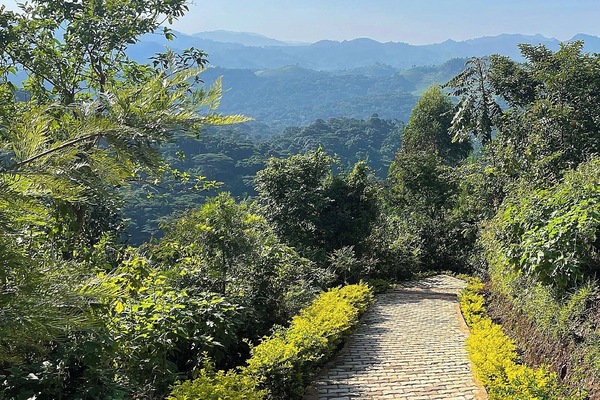 Garden view