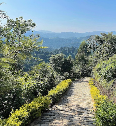 Bwindi Neckview Lodge