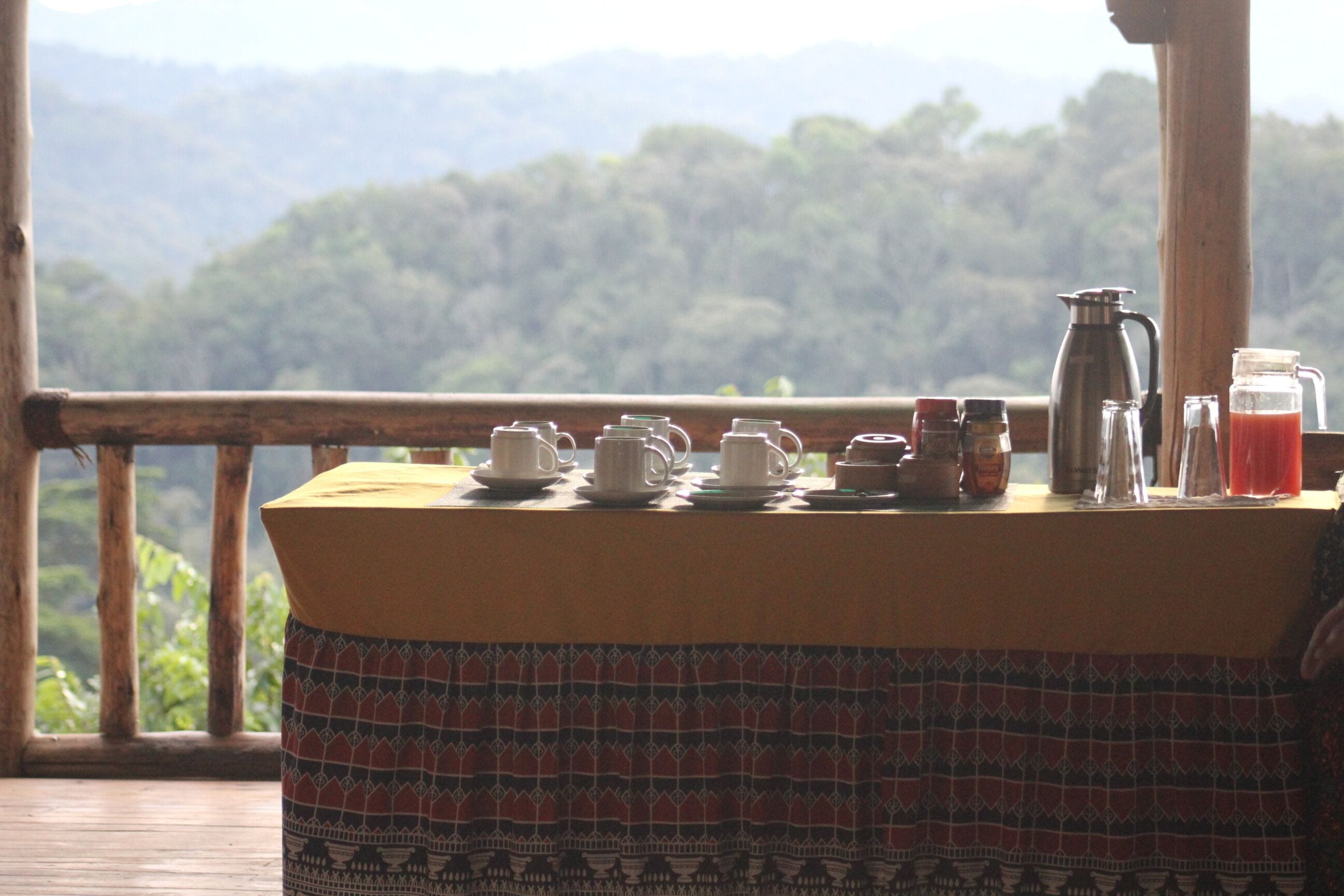 Ein Tisch mit Teeservice und Kaffeekanne, vor einer Aussicht auf einen bewaldeten Gebirgszug.