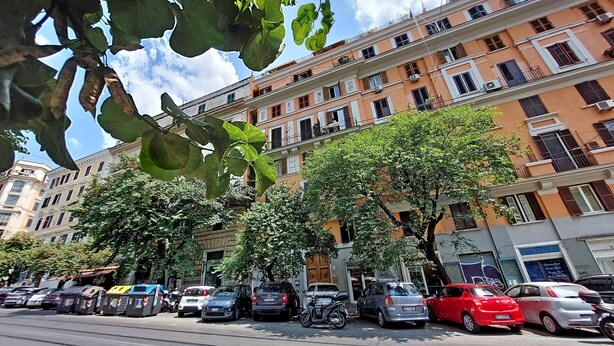 Un edificio a più piani con balconi e finestre, auto parcheggiate e alberi lungo la strada.