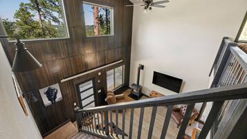 Smart TV, fireplace, books