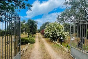 Property grounds - Apple house - detached villa with garden (Sorso)