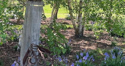 Delightful, well-equipped guest house in peaceful garden setting.