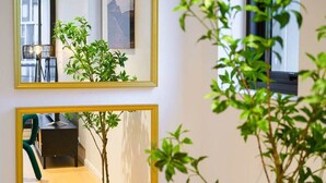 A room with two mirrors on the wall, a small potted plant, and a window.