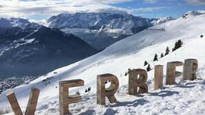 Uklassifisert bilde, 3 av 17, knapp