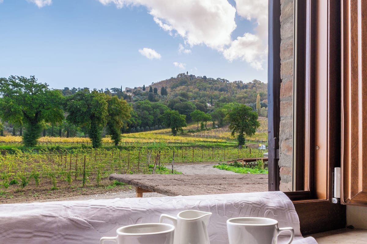 Ein Zimmer mit Blick auf einen Weinberg, ein Tisch mit Tassen und Untertassen sowie ein Fenster mit Vorhängen.