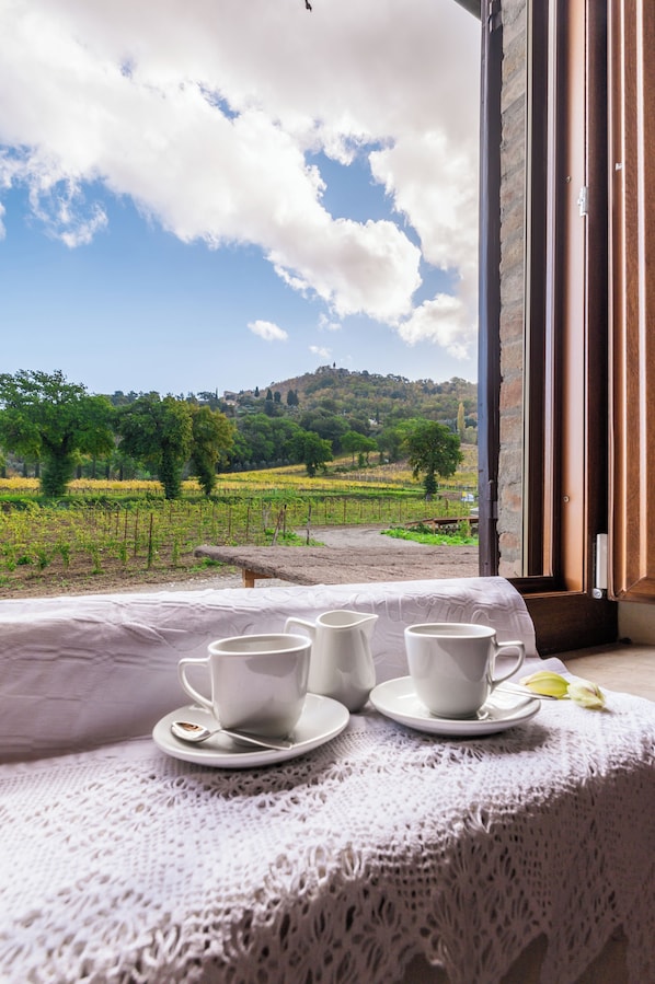 Free WiFi - Wine Estate Paradiso di Cacuci (Montalcino)