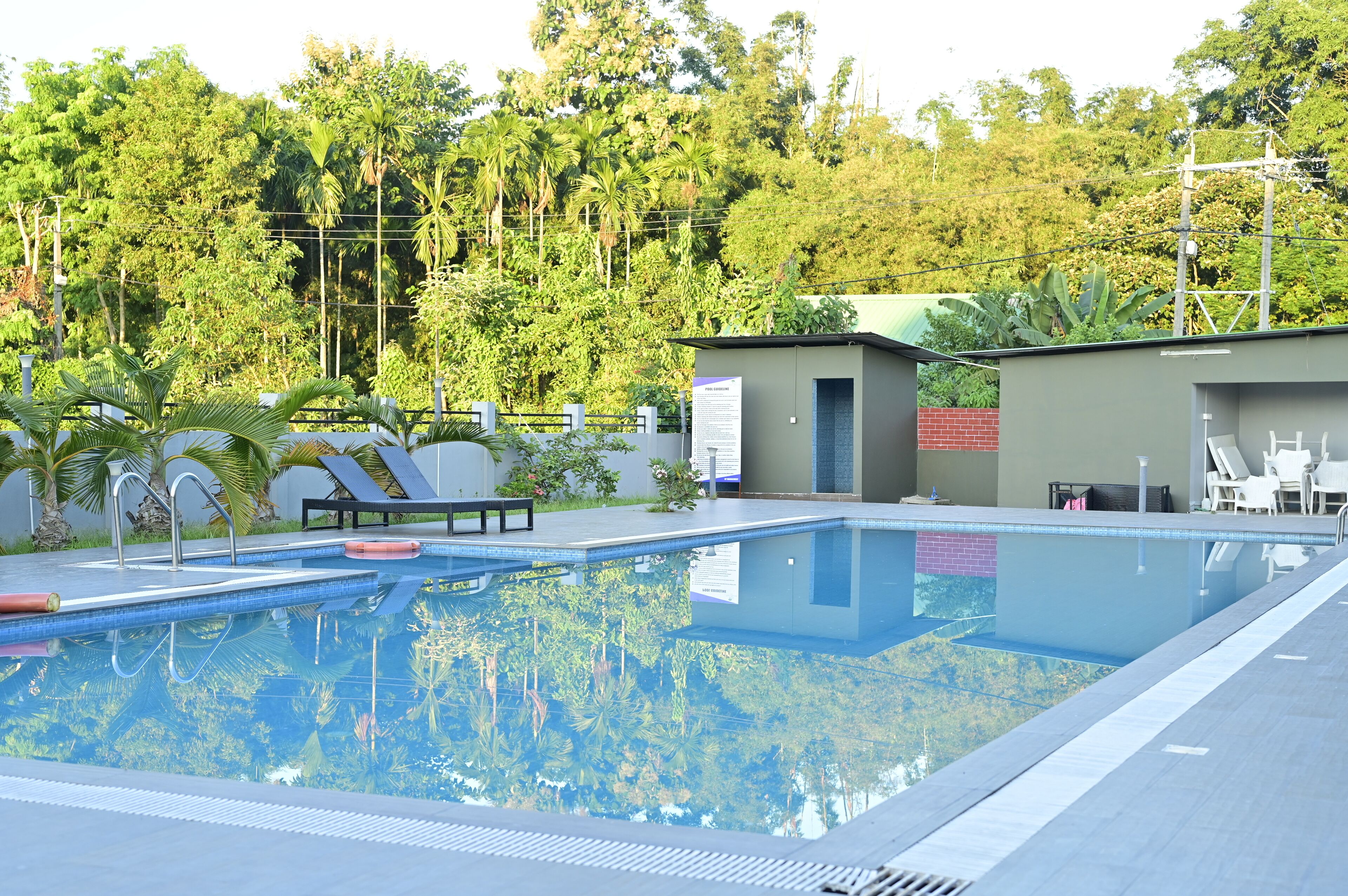Una piscina con sillones de descanso, un pequeño edificio junto a la piscina y abundante vegetación al fondo.