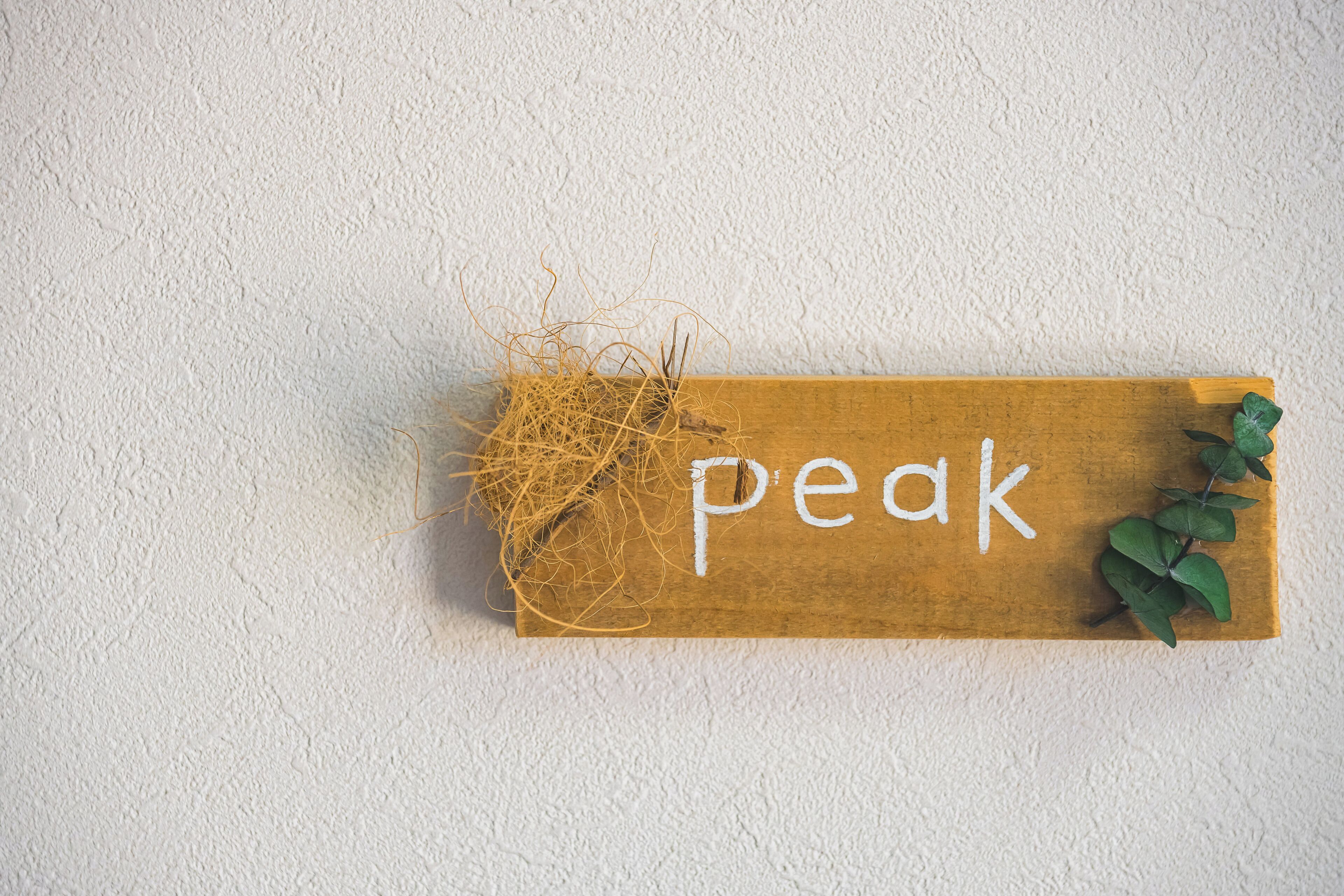 A wooden sign with the word 'peak' written on it, placed on a textured wall.