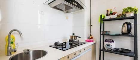 A modern kitchen with a stainless steel sink, a gas stove, a built-in oven, and a black range hood. There is a shelf with various kitchen items and a potted plant.