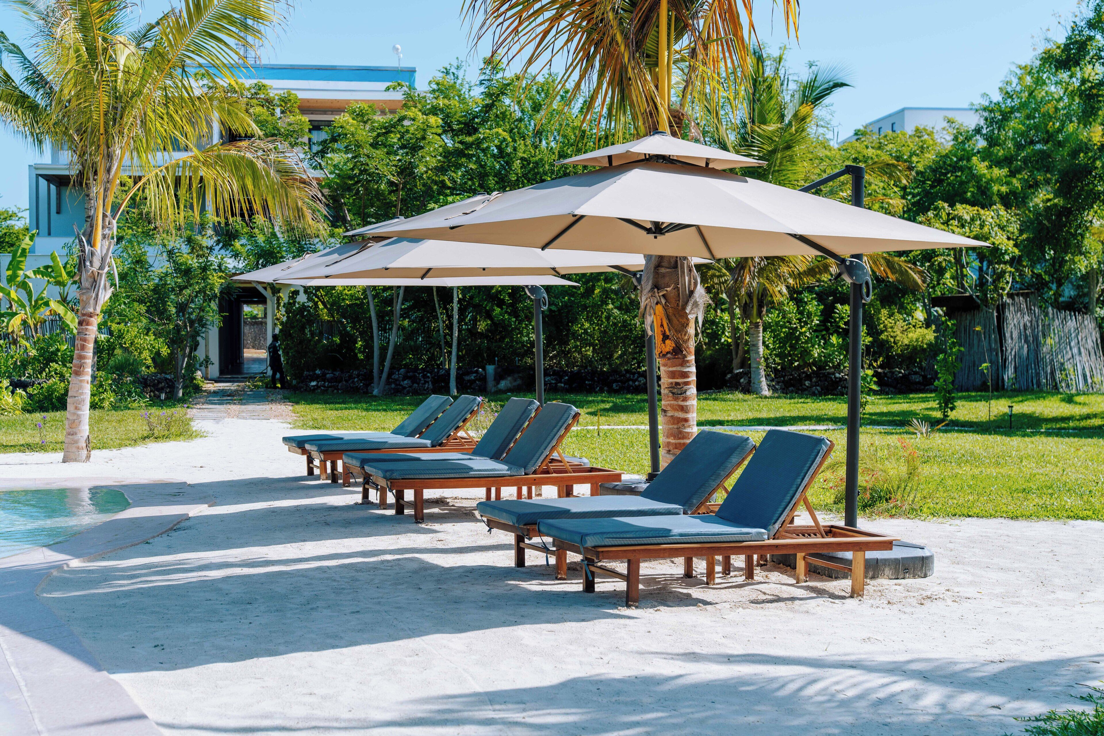 Un espace aménagé au bord de la piscine, avec des chaises longues et des parasols, entouré de palmiers et de verdure.