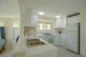 Kitchen features a central island with a double sink and gas stove, white cabinetry, and an oven.
