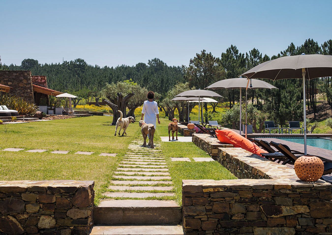 A stone pathway leading to a pool area with umbrellas and lounge chairs.