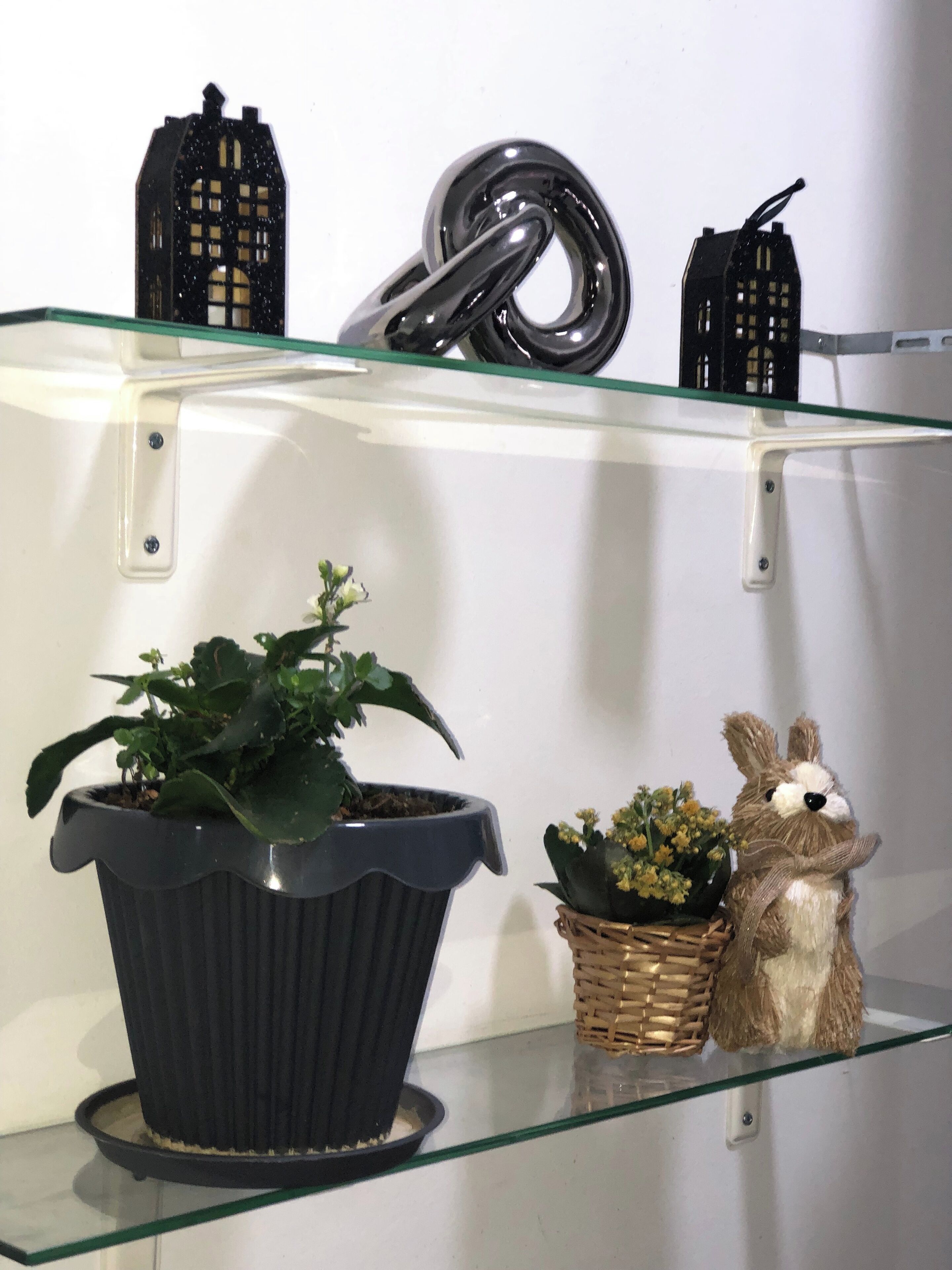 A glass shelf with two potted plants, a small wicker basket with flowers, and two black bird-shaped objects.