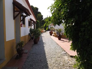 Property grounds - Quinta do Xarrama (Évora)