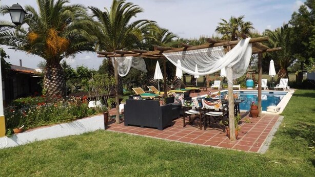 An outdoor patio area with a pool, palm trees, and outdoor furniture. - Quinta do Xarrama (Évora)
