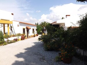 Property grounds - Quinta do Xarrama (Évora)