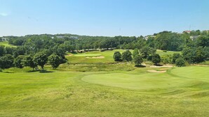 A golf course with well-maintained greens, sand bunkers, and trees. - Fairways Paradise Walk-in Suite at the Fairways at Thousand Hills! Great Rates! (Branson)