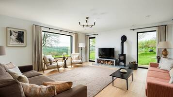 Télévision, cheminée