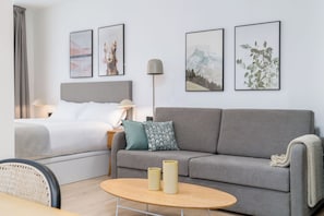 Studio with Sofa Bed