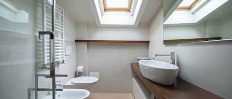 Shower, hair dryer, bidet, towels