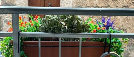 DĂ©tail de lâextĂ©rieur