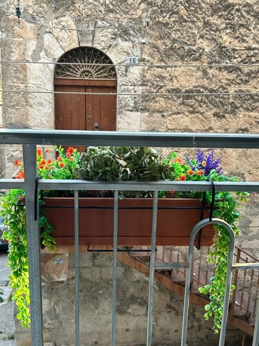 Musomeli's Beautiful House