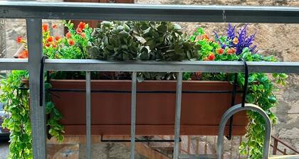 Musomeli's Beautiful House