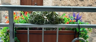 Musomeli's Beautiful House