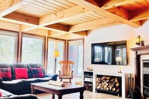 Télévision, cheminée