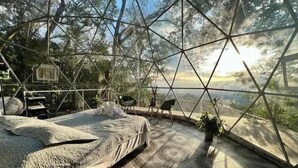 Ein Zimmer in Form einer Geodätkuppel mit einem Bett, Stühlen und Topfpflanzen.
