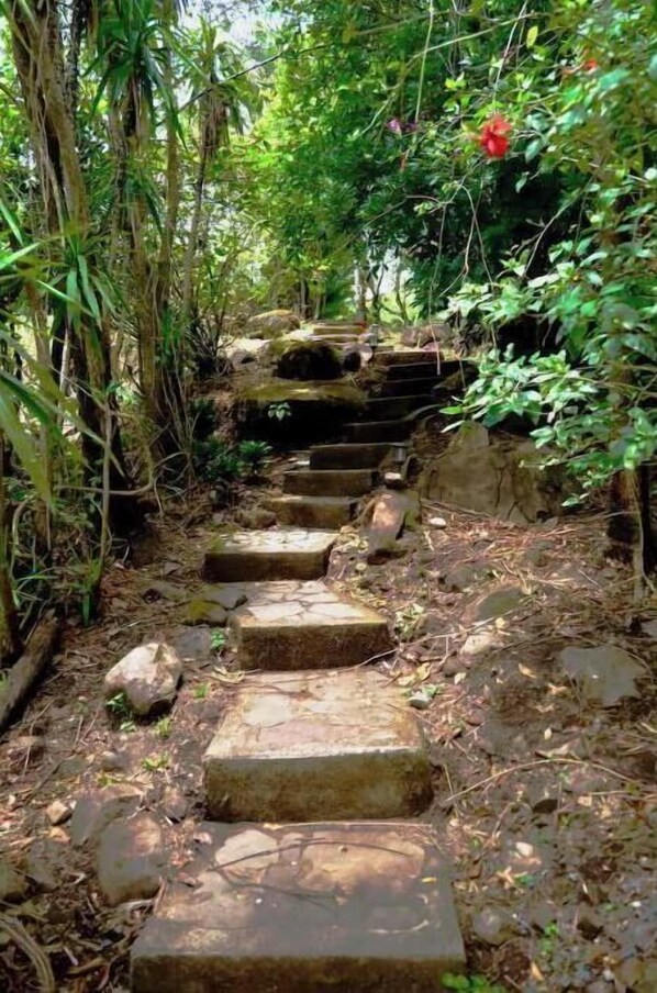 Àrea exterior de l'allotjament