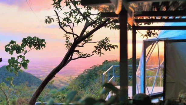 A treehouse with a glass door, surrounded by lush greenery and a scenic view. - AN AWESOME GLAMPING IN THE JUNGLE (Puntarenas Province)