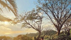 A person sitting by a pool with a view of trees and a sunset. - AN AWESOME GLAMPING IN THE JUNGLE (Puntarenas Province)