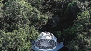 A geodesic dome structure surrounded by dense forest. - AN AWESOME GLAMPING IN THE JUNGLE (Puntarenas Province)