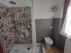 Assecador de cabells, bidet, tovalloles i sabó