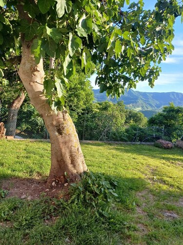 Relax in Nature: Holiday Home with a View in Tuscany