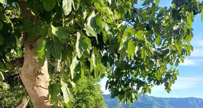 Relax in Nature: Holiday Home with a View in Tuscany