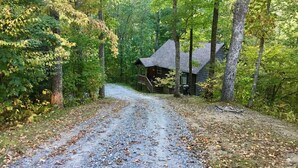 A rustic cabin surrounded by dense forest.