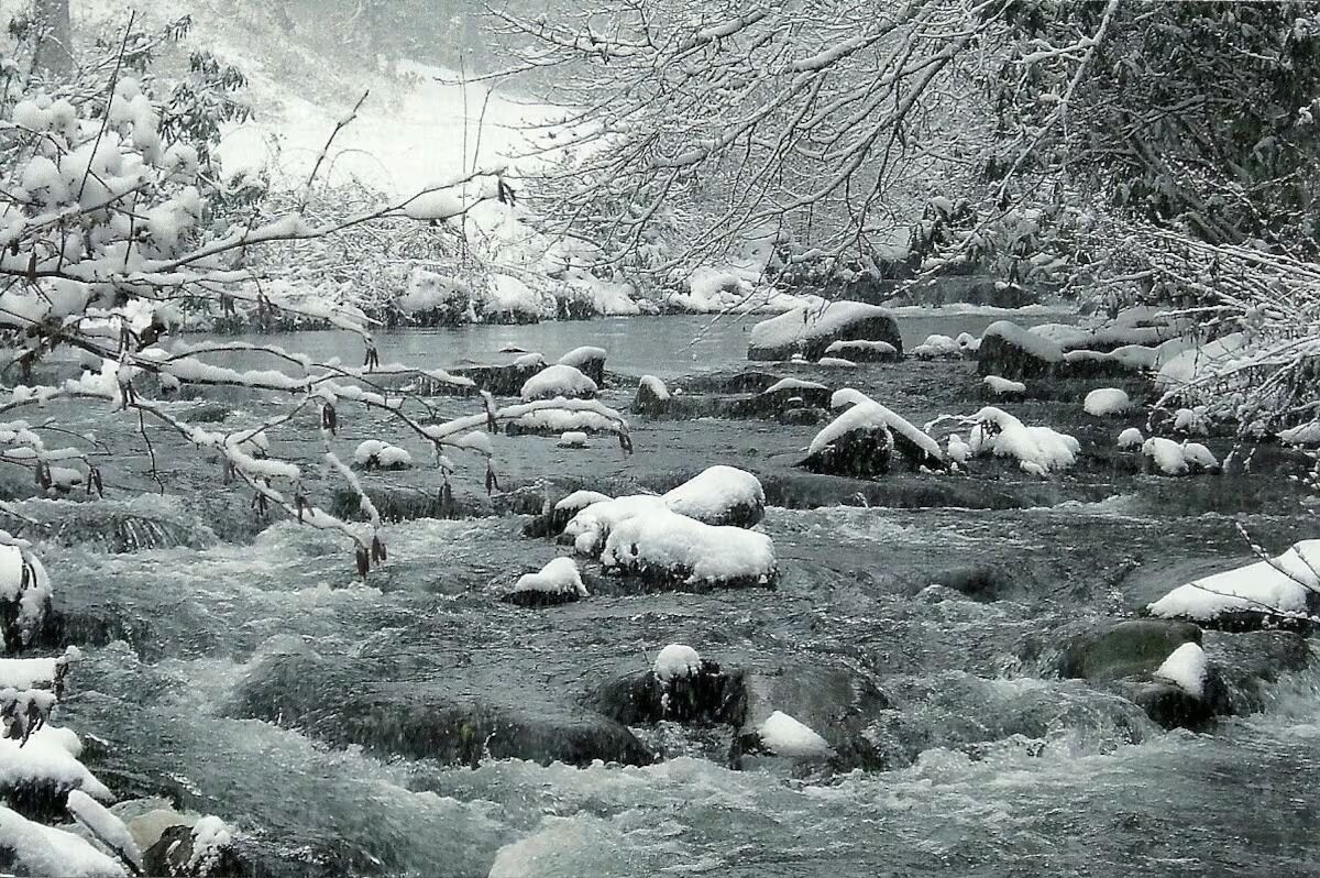 Um rio com rochas e galhos cobertos de neve.