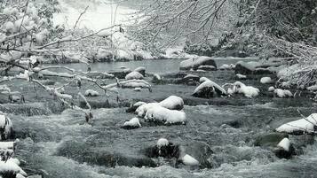 A river with snow-covered rocks and branches.