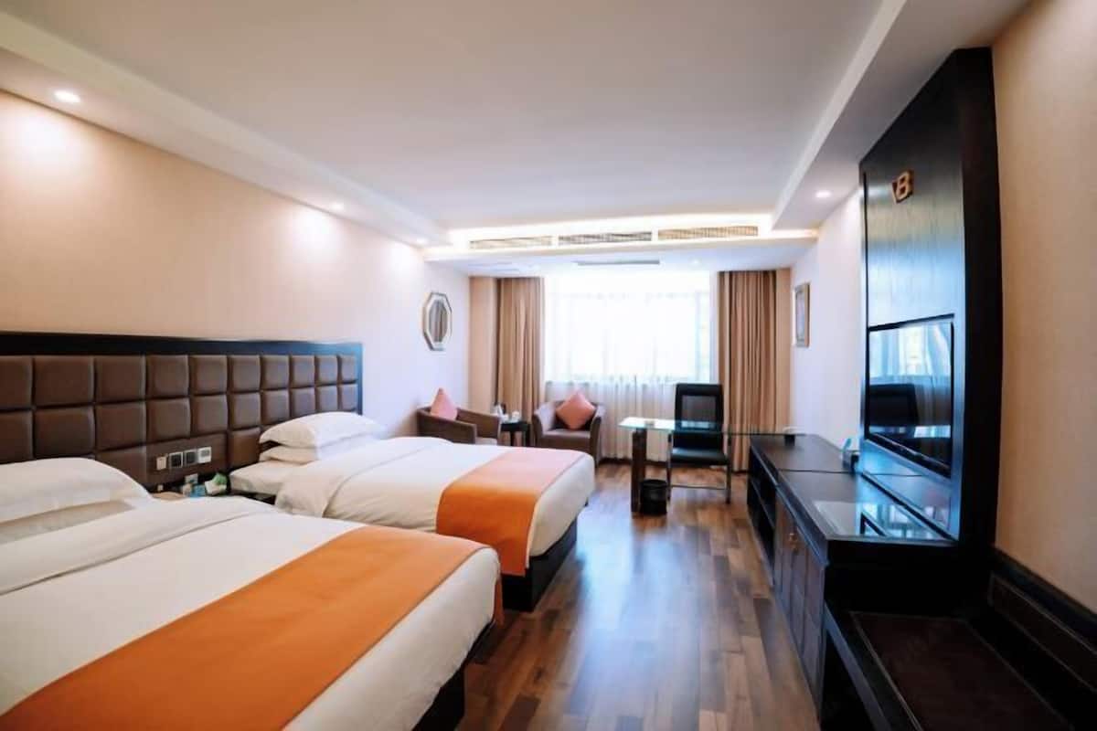 Habitación de hotel con dos camas, un escritorio, una silla, un televisor y un espejo grande.