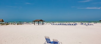 44 Premium Plus - Sandy Toes & Seaside Bliss