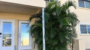Un bâtiment à la façade beige, avec une porte et un petit palmier devant.