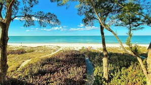 Une plage offrant une vue dégagée sur l’océan, bordée d’arbres et accessible par un sentier.