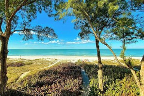 On the beach - Stylish Beachfront Condo, Stunning Views (indian shores)